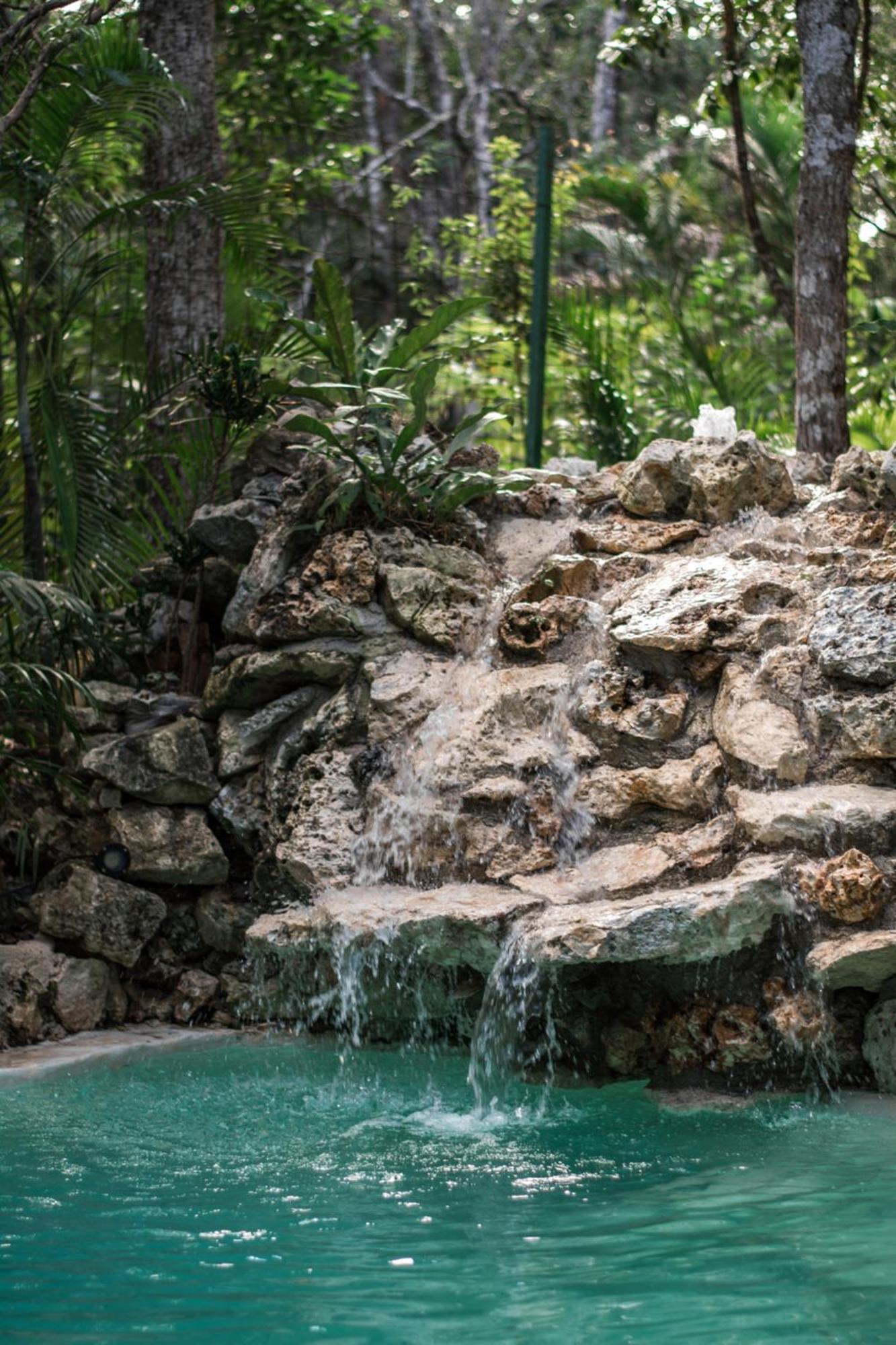 Vila Pepem Holistic Experience - Peaceful Retreat Near Tulum (Adults Only) Exteriér fotografie